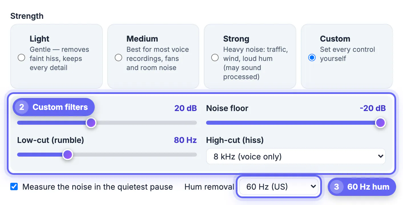 Custom strength with Low-cut (rumble) 80 Hz, High-cut (hiss) 8 kHz voice only, and Hum removal set to 60 Hz (US)