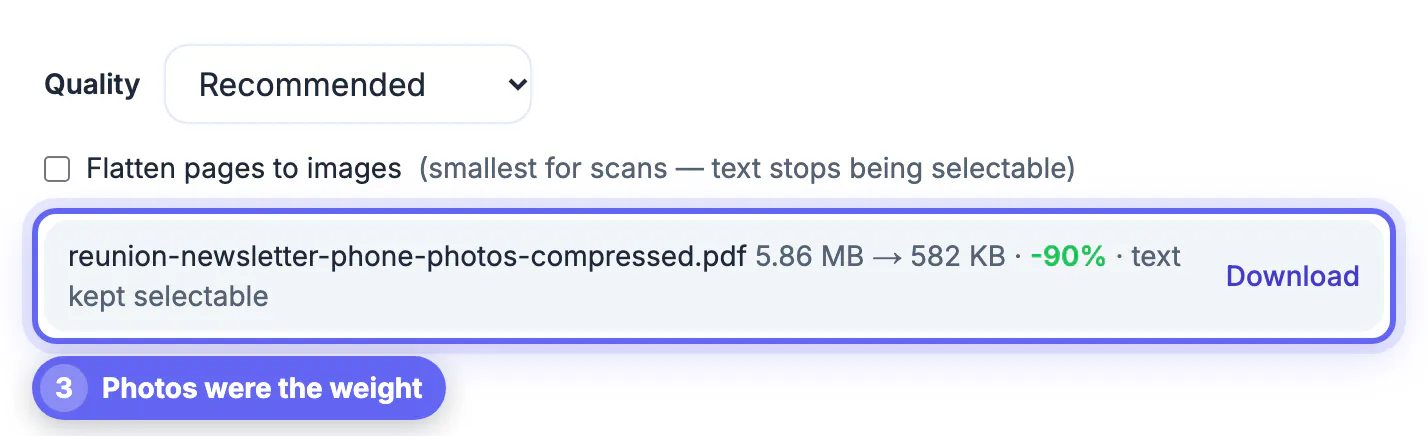 Reunion newsletter on Recommended: 5.86 MB down to 582 KB, -90%, text kept selectable