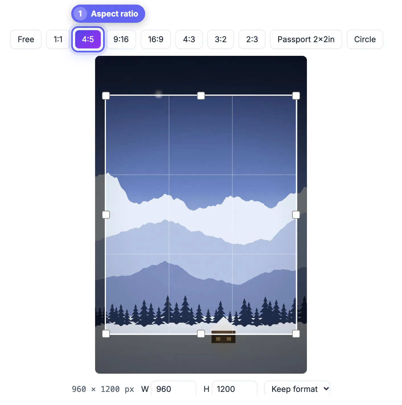 4:5 preset selected, locking the crop box to Instagram's tallest feed shape