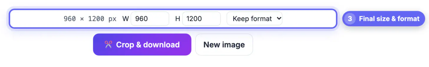 Readout showing the 4:5 crop size in pixels with Keep format, next to Crop & download