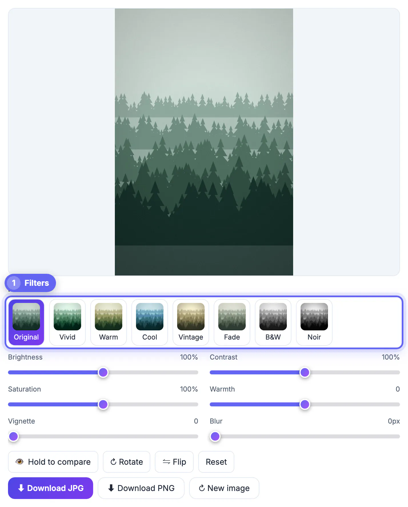 Photo Editor with a misty pine forest photo loaded and the filter chips Original, Vivid, Warm, Vintage and more above the sliders
