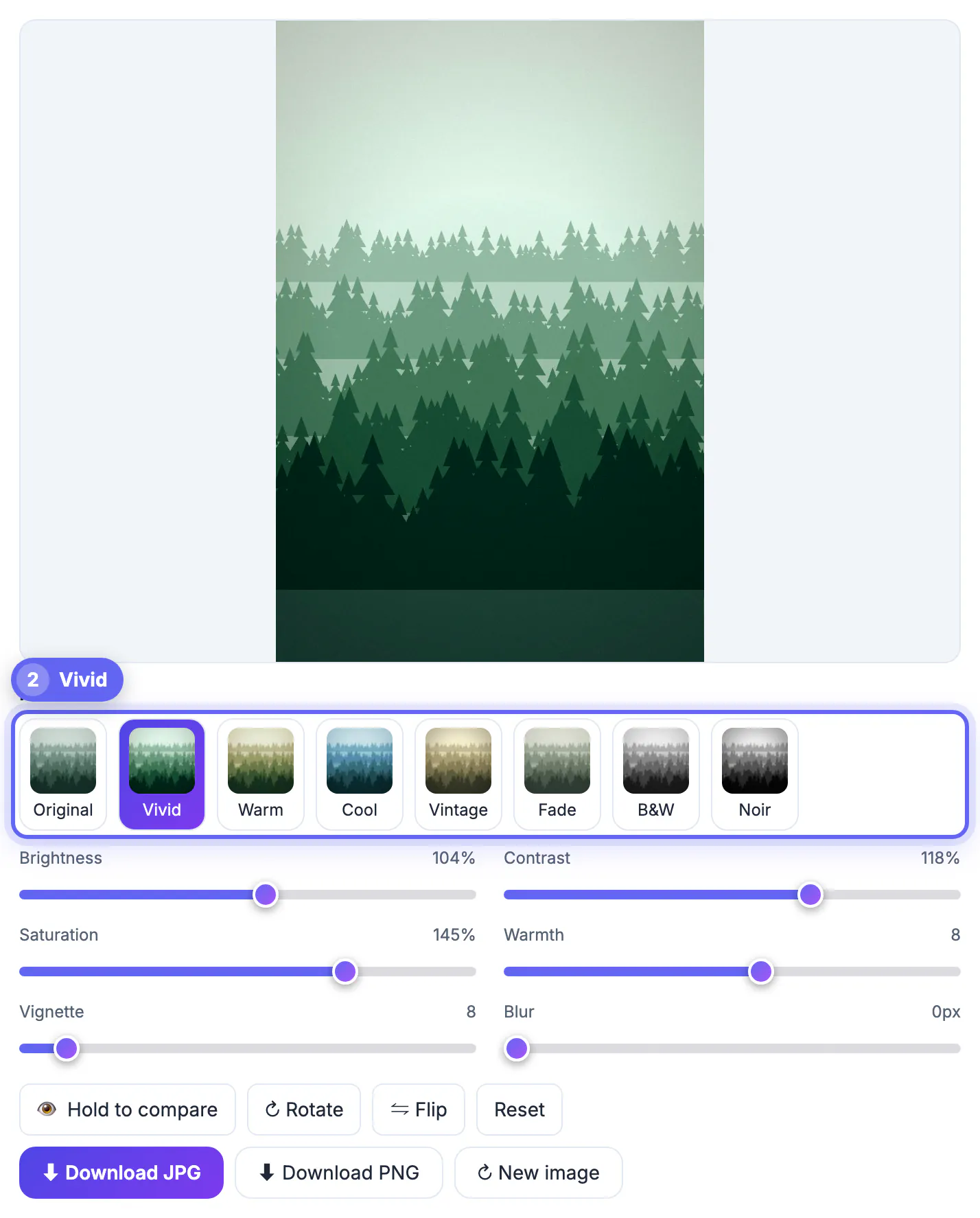 Vivid filter chip selected and the misty forest picture with boosted colour