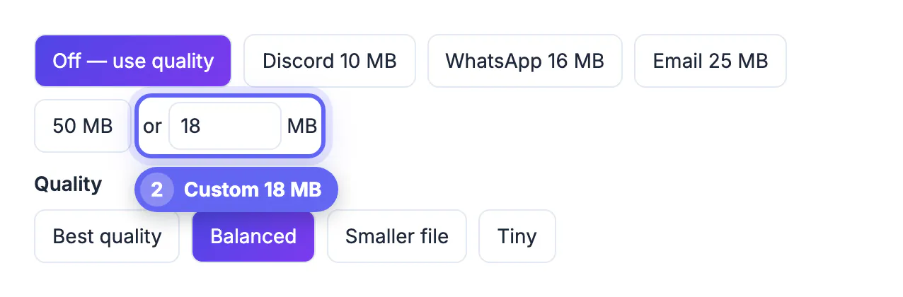 Custom size box under Fit under a size filled with 18 MB, below the Email 25 MB preset