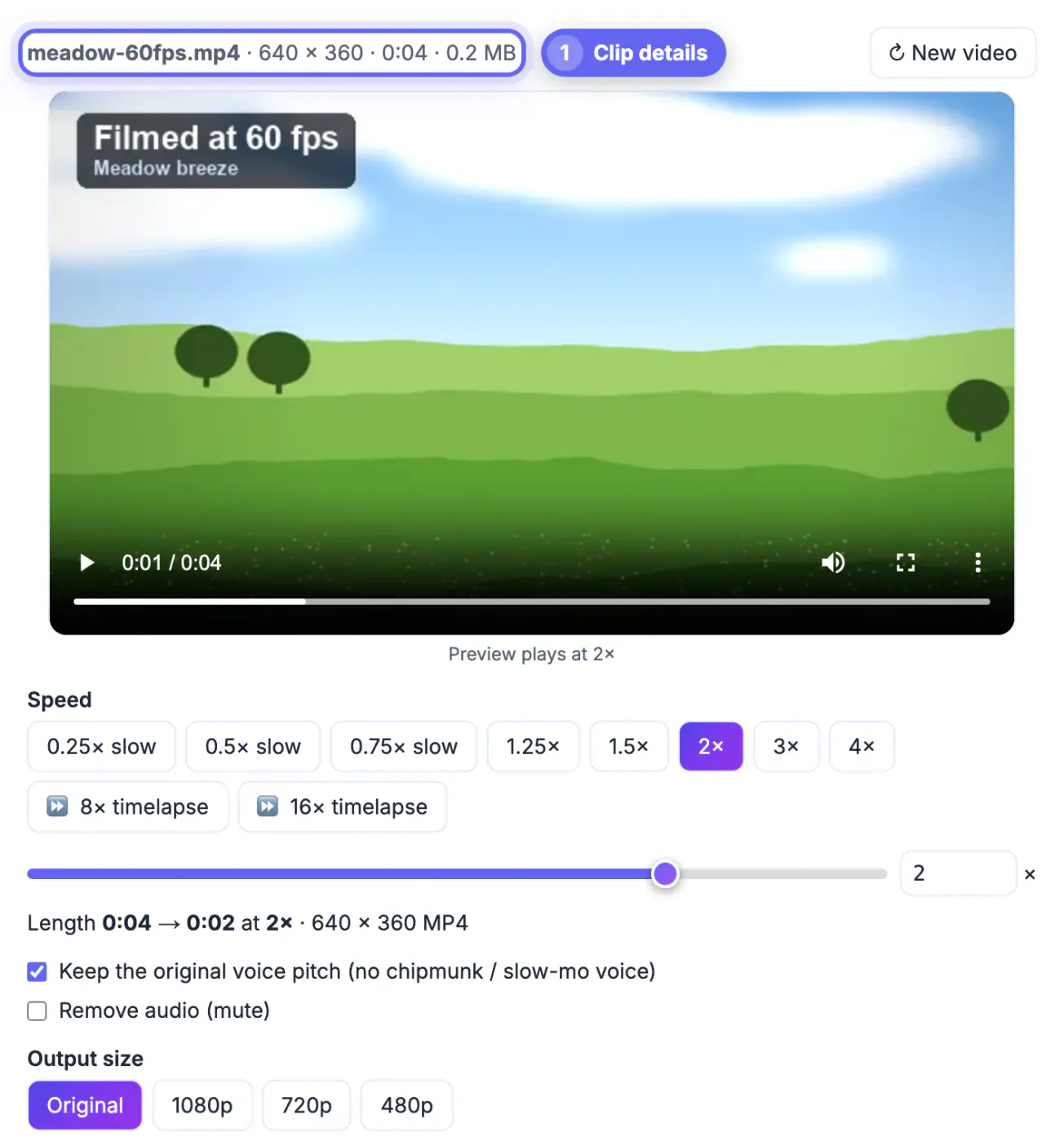 Change Video Speed with a 4-second, 640 x 360 meadow clip loaded in the preview player and the speed buttons below
